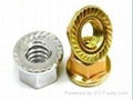 Flange Nuts 1