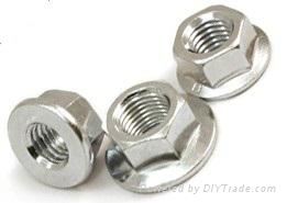 Flange Nuts 2