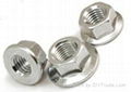 Flange Nuts 2