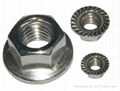 Flange Nuts 3