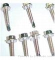 Hexagon Flange Drilling Screws With Tapping Screw Thread 2