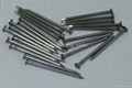 smooth shank common wire nail factory