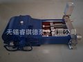 tank cleaning high pressure pump,high pressure triplex plunger pump WP3Q-S601400