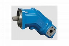 Rexroth A2FO hydraulic piston pumps and parts