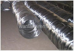 Hot dipped galvanized wire 