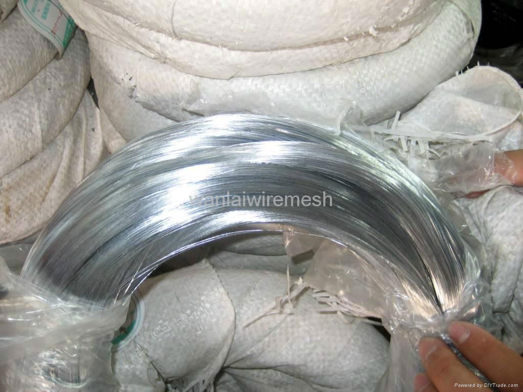 Hot dipped galvanized wire  3