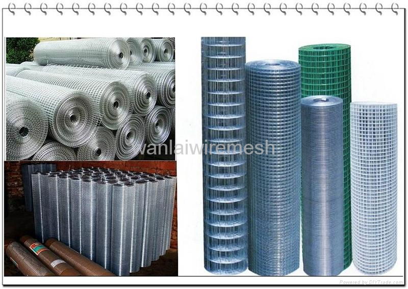 Welded Wire Mesh