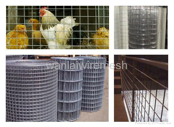 Welded Wire Mesh 3