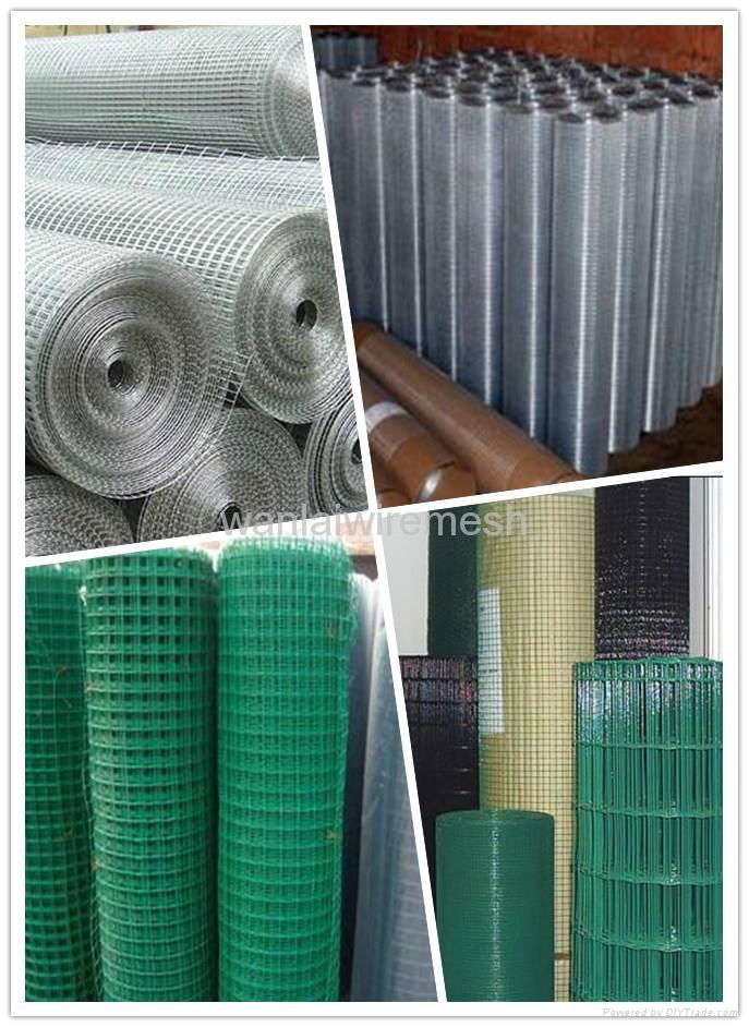 Welded Wire Mesh 4