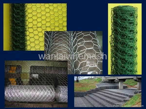 Hexagonal Wire netting 