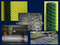 Hexagonal Wire netting  1