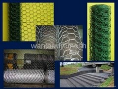 Hexagonal Wire netting 