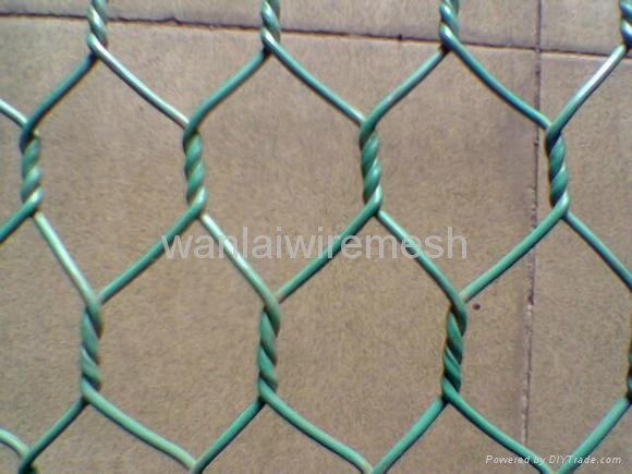Hexagonal Wire netting  2