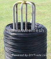 Black annealed wire 2