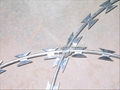 Razor barbed wire 1