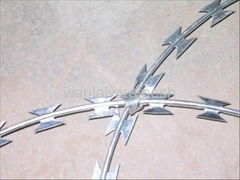 Razor barbed wire