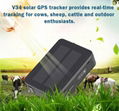 Long Working Hours 9000mAh Vehicle GPS Tracker with Waterproof IP67 