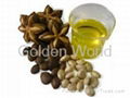 Oil of Inca Nuts Sacha Inchi Oil