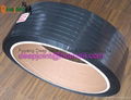 Polyester（PET）Strapping 1