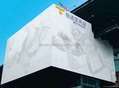 Artistic designed metal panel used for facade curtain wall