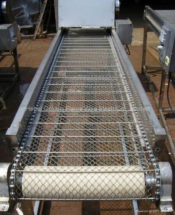 Conveyor belt mesh 2