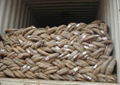 Galvanized Iron Wire 2