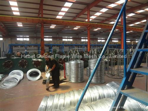 Galvanized Iron Wire 4