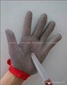 stainless steel glove 1