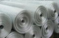 welded wire mesh