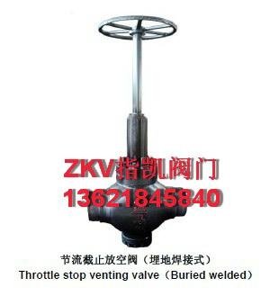 上海专业生产高压油田平板闸阀 3