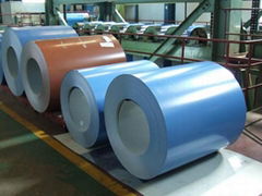 prepainted galvanized steel coil 