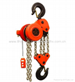 DHP chain electric hoist 2