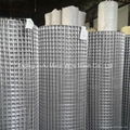 Welded Wire Mesh  1