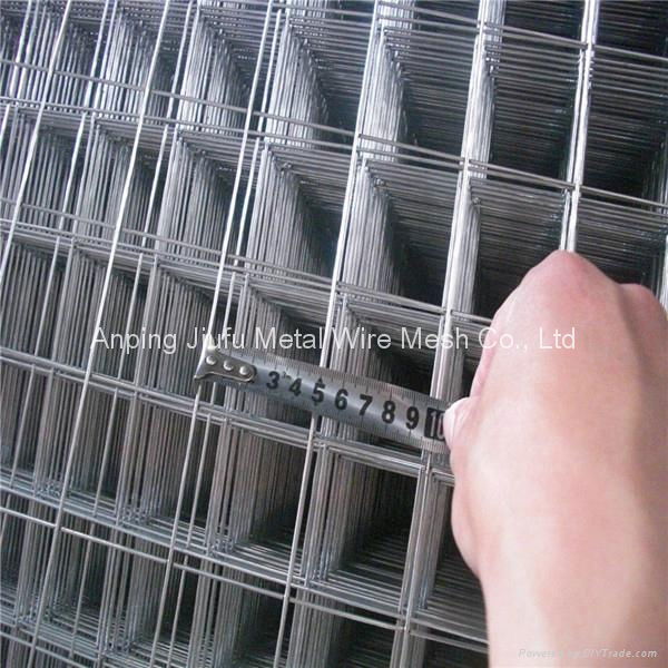 Welded Wire Mesh  3