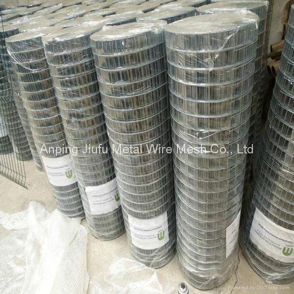 Welded Wire Mesh  4