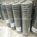 Welded Wire Mesh  4