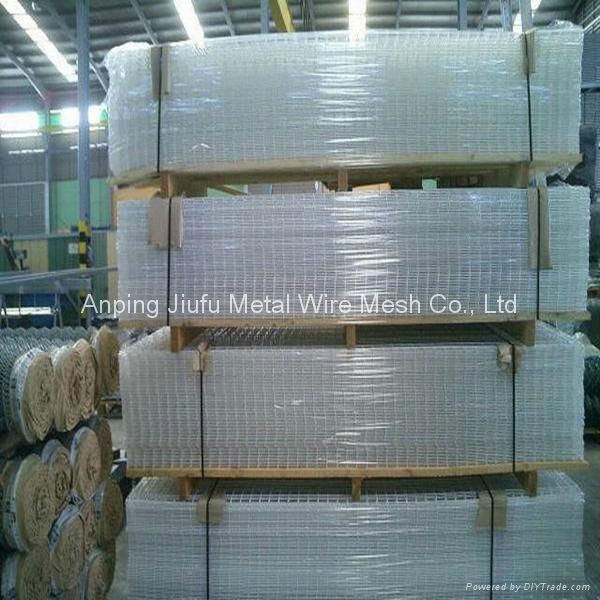 Welded Wire Mesh  5