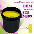 uv soak off nail gel polish in 1 kg 1