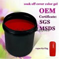 uv soak off nail gel polish in 1 kg 2