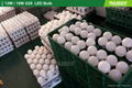 15w led bulb,E27 led bulb,e14 bulb,led e27,A60 led bulb,led light bulb 4