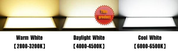 LED panel light Yifond high brightness 600*600  3