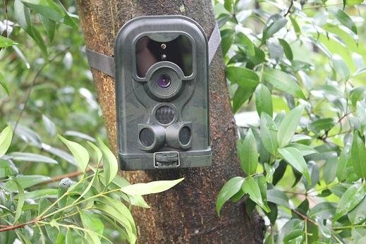 12MP MMS Trail Camera For Hunting Wild Animal 3