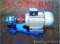 高压齿轮泵 1