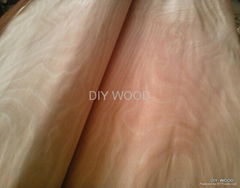 Rotary Cut Okoume veneer