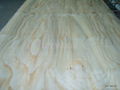 Rotary Cut New Zealand Pine veneer