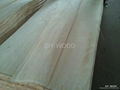 Rotary Cut Poplar veneer 1