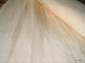 Rotary Cut Red canarium veneer 2