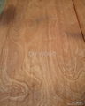 Rotary Cut Sapele veneer 3