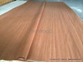 recon Veneer 1