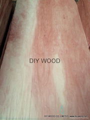 Red Color Door Skin Veneer